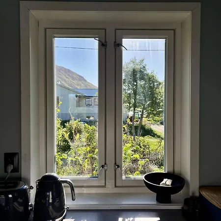 别墅 Lofoten Seaview With Sauna And Garden
